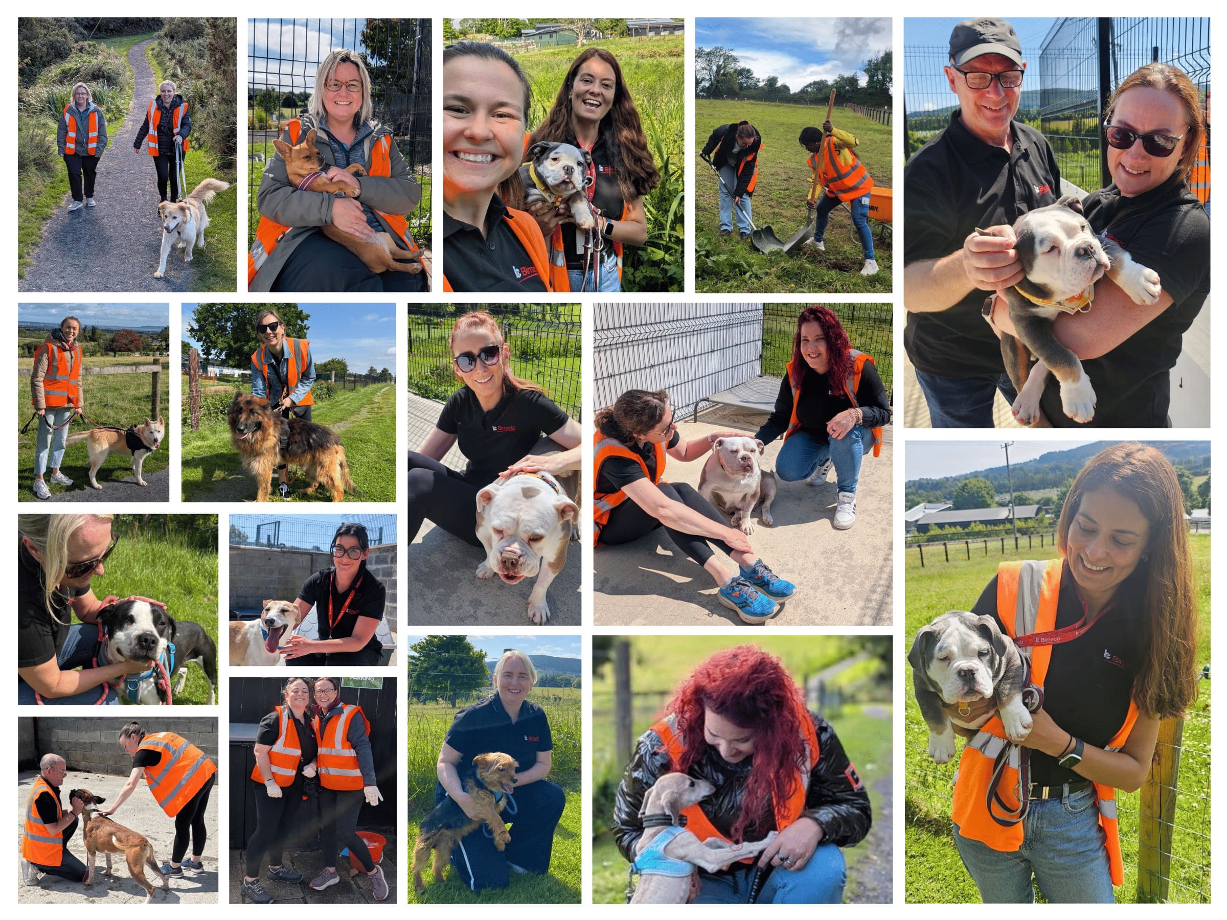 Brow and White Coffee Photo Collage