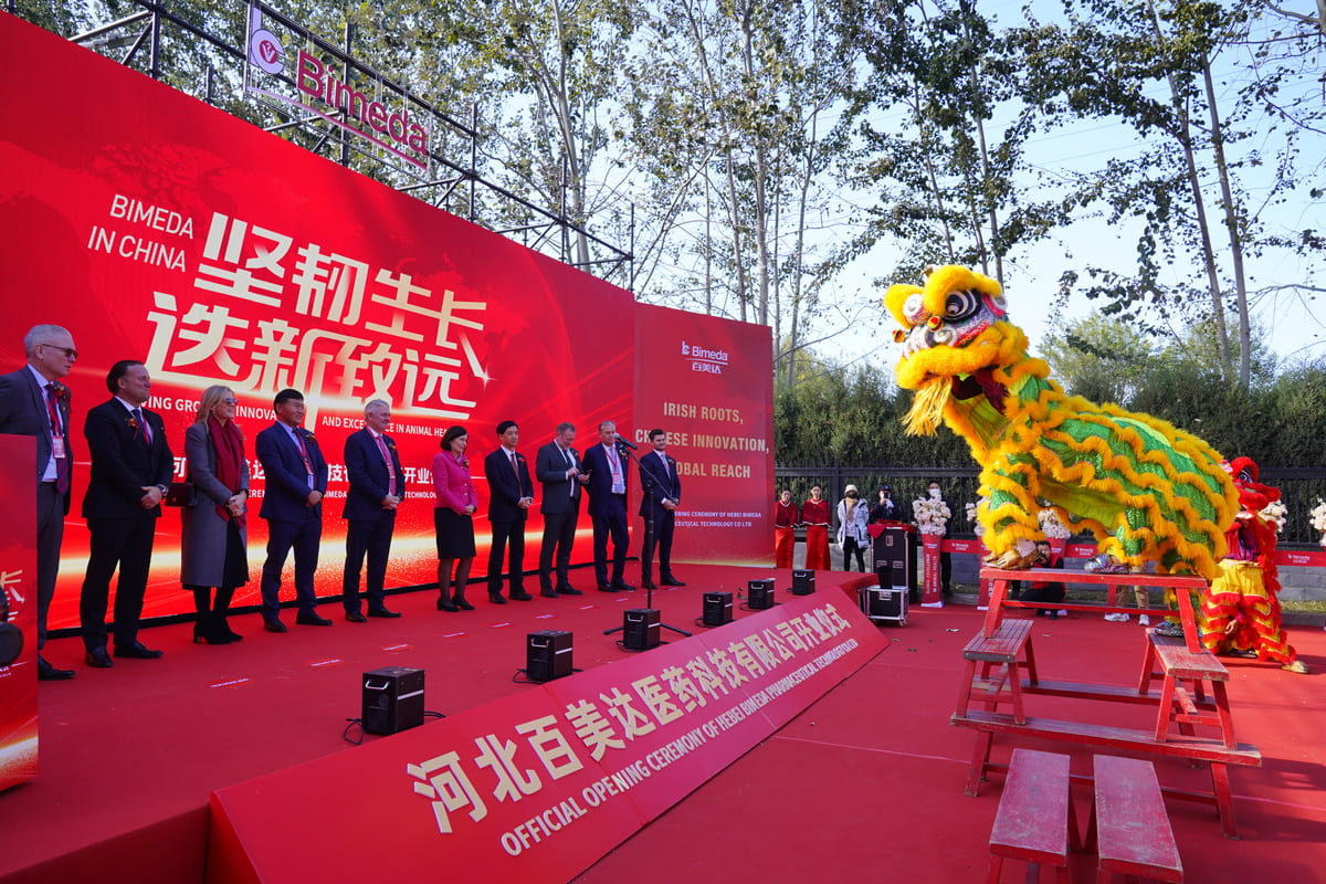 A traditional Lion Dance takes place during the official opening ceremony
