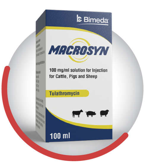 macrosyn